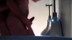 Sex In Wc