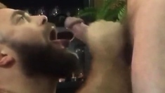 Bearded guy suck and swallow