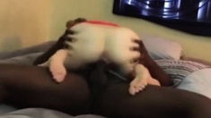 Skinny White Girl Fucked Like A Puppet By Black Bull