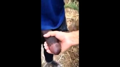 Playing with big black cock