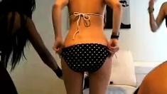 Hot Black Maid Does Some Webcam Black and Ebony