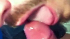Public WC Blowjob by Amateur Cum Sucker