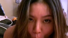 Pov amateur blowjob action