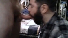 Big-Cock Bear Amateur Gets a Face Full of Cum