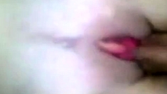 Wet Pussy And Young Dick