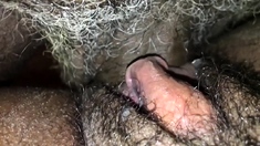 Hairy black pussy close up